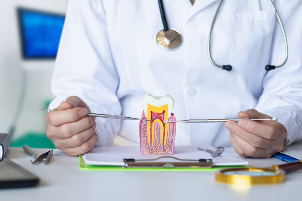 Professional Emergency Dental Service in PA